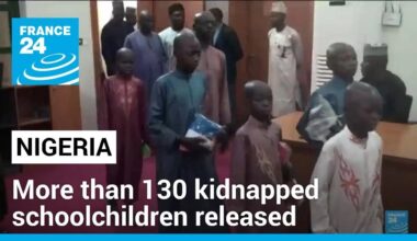 More than 130 kidnapped Nigerian schoolchildren released • FRANCE 24 English