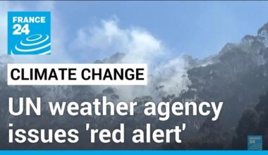 UN weather agency issues 'red alert' on climate change after record heat in 2023 • FRANCE 24