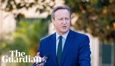 Cameron: Aukus and Nato must be in ‘best possible shape’ before potential Trump win