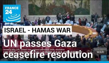 UN Security Council for first time passes resolution calling for ‘immediate’ Gaza ceasefire