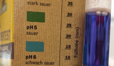 Mein Rasen ist seit Mitte letzten Sommer sehr licht und wächst fast gar nicht mehr - PH Test sagt >7 - was tun?