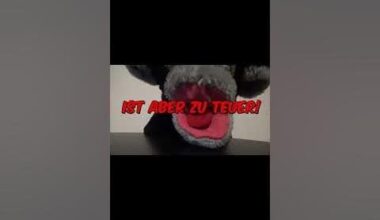 Döner ist mir zu teuer. Deswegen habe ich diesen Song gemacht!