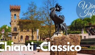 The things you should know about Chianti-Classico || Geography, Viticulture & Enology || Italian Wine Region