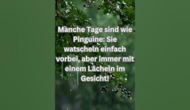 Lustiger Spruch