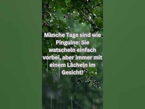 Lustiger Spruch