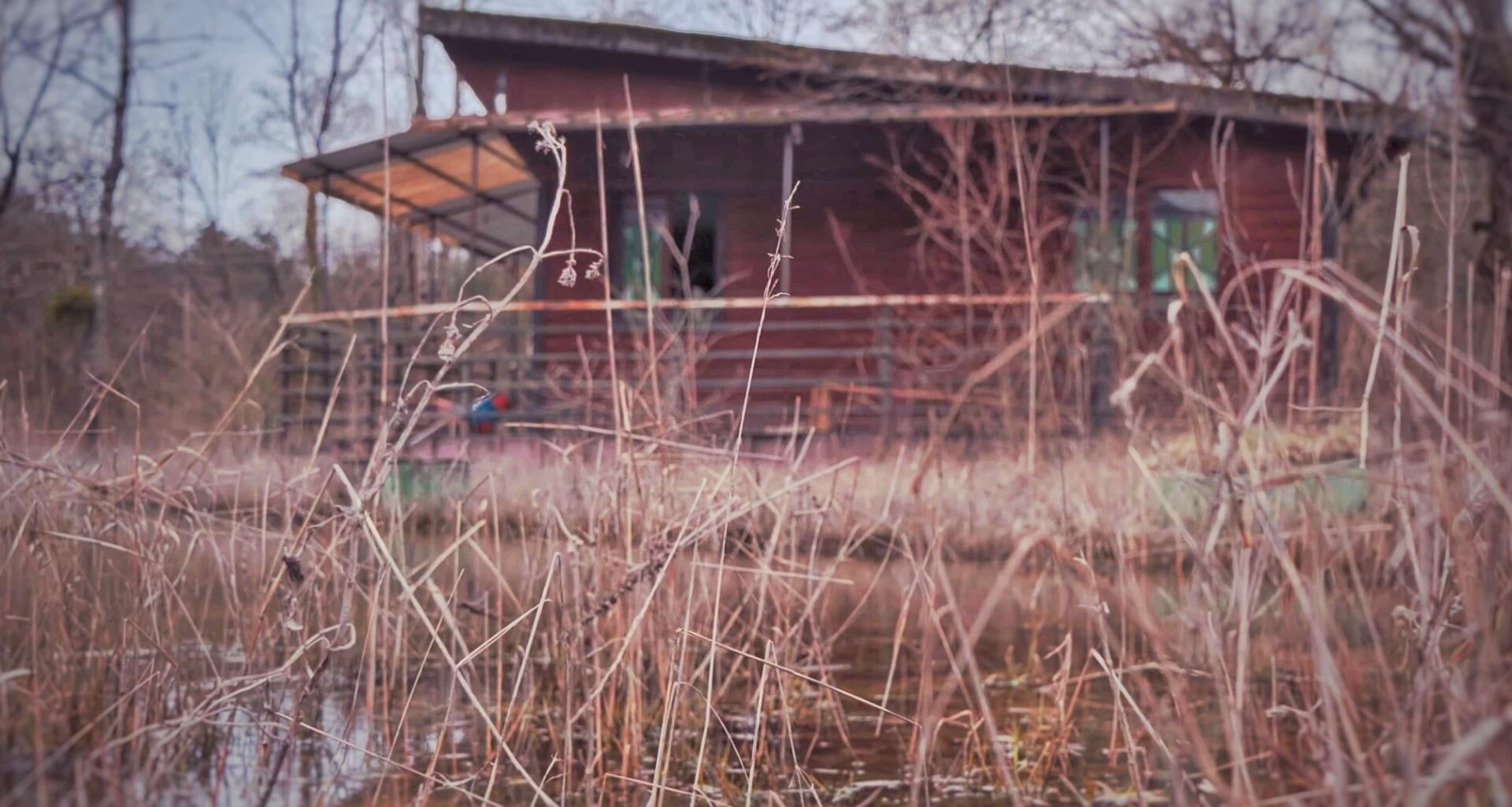 Abandoned Cottage in the French Alps (video in comments)