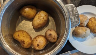 Kartoffelwasser im Gießwasser, wie viel bringt es?