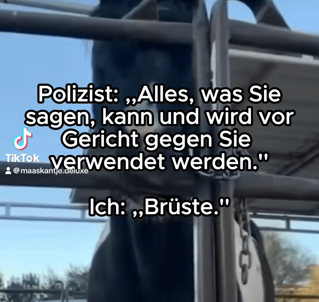 Bitte was?😂