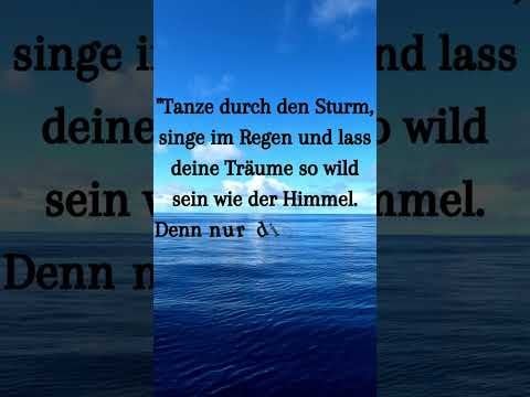 "Wild Dreams: Verrückte Wege, Träume zu verwirklichen!"