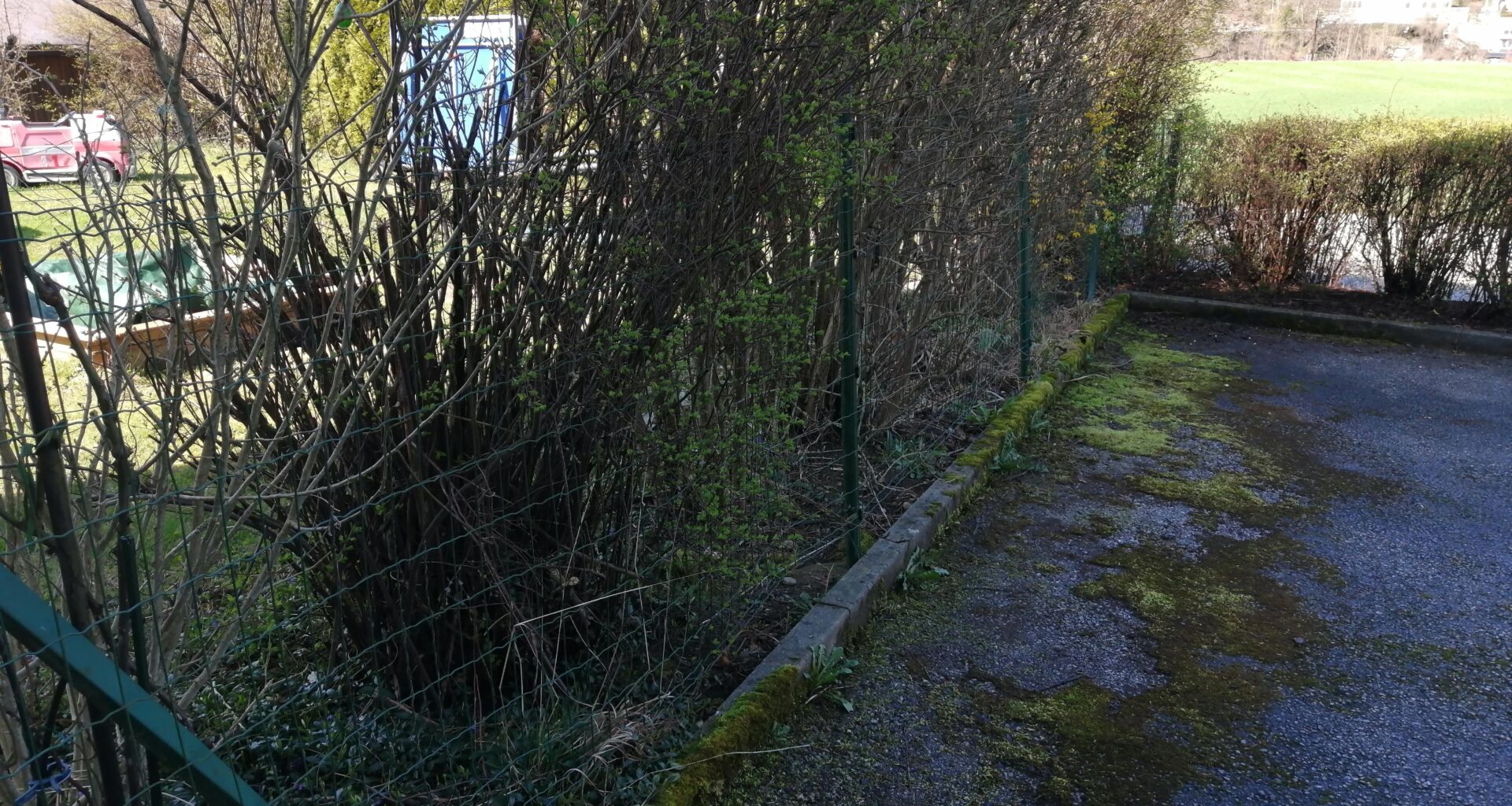 Sichtschutz montieren - Büsche im Weg