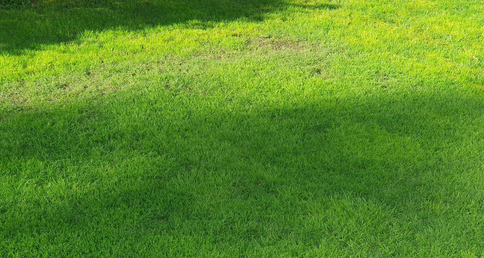 Wiese wird bei Regen matschig