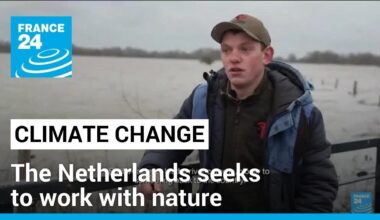 Faced with rising sea levels, the Netherlands seeks to work with nature • FRANCE 24 English