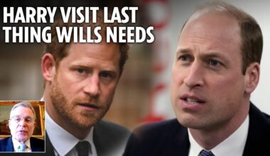 William is under enormous pressure and a visit from Harry is the last thing he needs, says expert