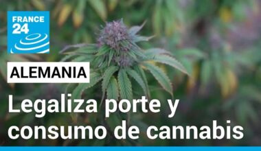 Alemania aprueba legalización de consumo y posesión de cannabis en pequeñas cantidades