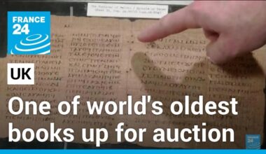 One of the oldest books in existence up for auction • FRANCE 24 English