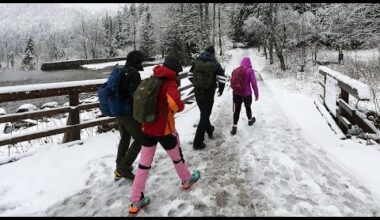 Cinq morts en Pologne dans la tempête