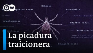 La enfermedad de Lyme y su arduo diagnóstico | DW Documental