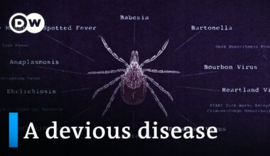 Lyme disease and the fight for recognition | DW Documentary