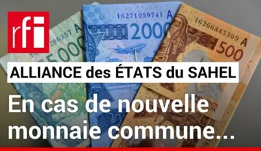 AES - Une dévaluation du F CFA est-elle à craindre ? • RFI