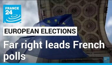 Poll puts France's far right on course for big gains at European elections • FRANCE 24 English