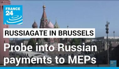 European MPs accused of taking Russian money to spread disinformation • FRANCE 24 English