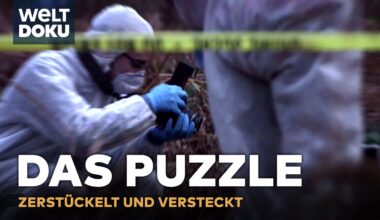 TRUE CRIME: Das Puzzle - Zerstückelt und versteckt! | Dem Täter auf der Spur S1E04 | WELT HD DOKU