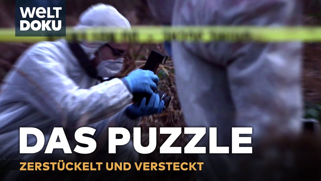 TRUE CRIME: Das Puzzle - Zerstückelt und versteckt! | Dem Täter auf der Spur S1E04 | WELT HD DOKU