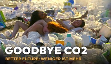 FLEISCH, FAST FASHION, SCHROTT & MÜLL: Das CO2-Experiment gegen den Klimawandel | WELT HD DOKU