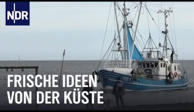 Halbinsel Butjadingen: Unterwegs zwischen Jade und Weser  | Nordseereport | NDR Doku