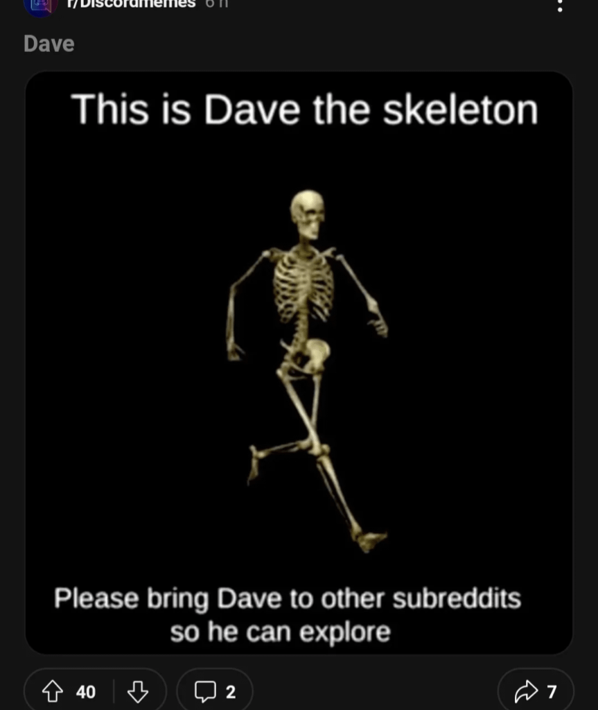 Dave