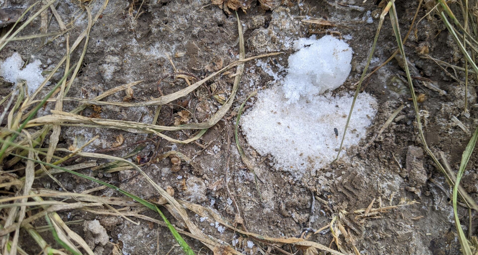 Blaue und weiße Substanzen auf Wiese gefunden