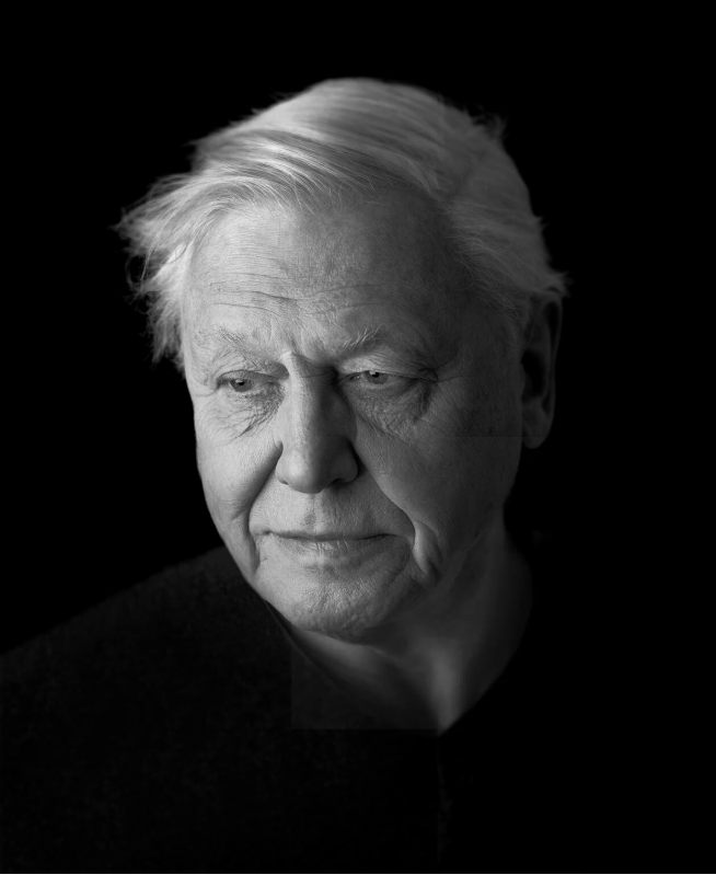 David Attenborough, English broadcaster renowned for natural history documentaries, alive at age 97