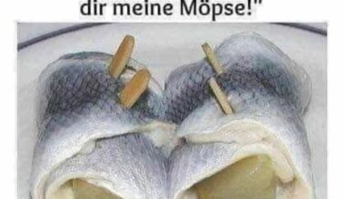 Möpse