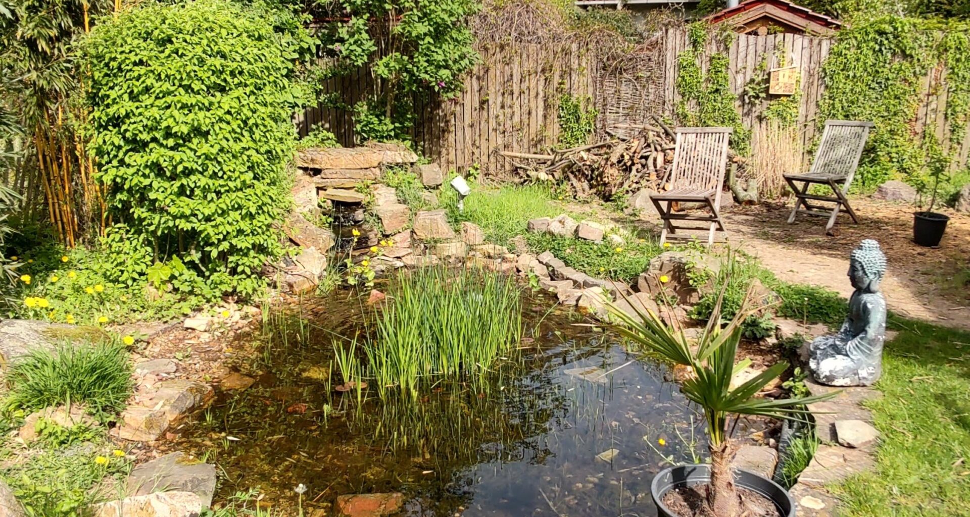 How do I keep herons away from my pond?