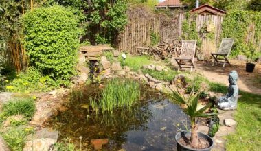 How do I keep herons away from my pond?