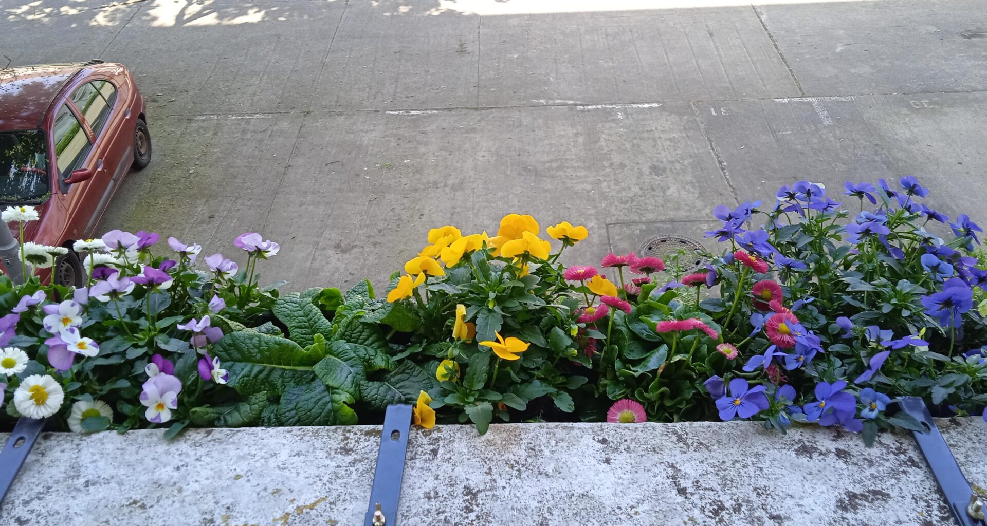 Erste Erfolge auf dem Balkon