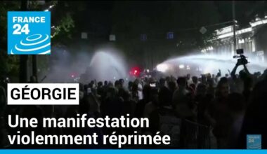 Géorgie : une manifestation contre une loi jugée pro-russe violemment réprimée • FRANCE 24