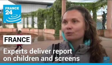 French report on children's screen use recommends no smartphones before 13 • FRANCE 24 English