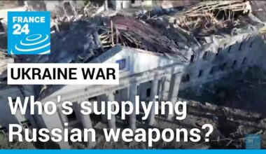 The loopholes that keep Russia's weapons industry afloat • FRANCE 24 English