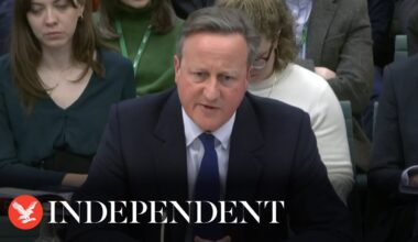 Watch again: David Cameron testifies in House of Lords as he urges Hamas to accept ceasefire deal