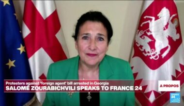 Foreign agents law an attempt to 'suppress critical voices', Georgian president tells FRANCE 24