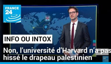 Non, l’université d’Harvard n’a pas hissé le drapeau palestinien • FRANCE 24