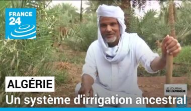 Gestion de l'eau en Algérie : un système d'irrigation ancestral • FRANCE 24