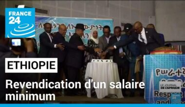 Journée internationale du travail en Ethiopie : revendication d'un salaire minimum • FRANCE 24