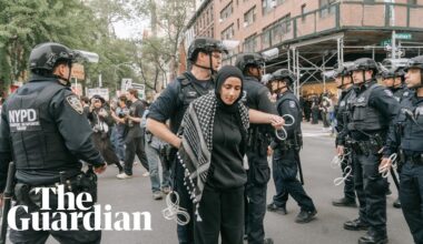 Pro-Palestinian activists arrested near Met Gala