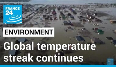 Copernicus climate report: Global temperature streak continues • FRANCE 24 English