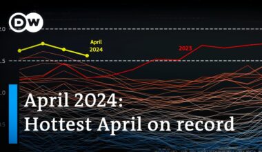 Why the global temperature record streak continues | DW News