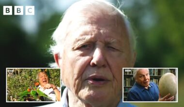 98 years of Sir David Attenborough in 98 seconds ❤️ | David Attenborough's Birthday - BBC