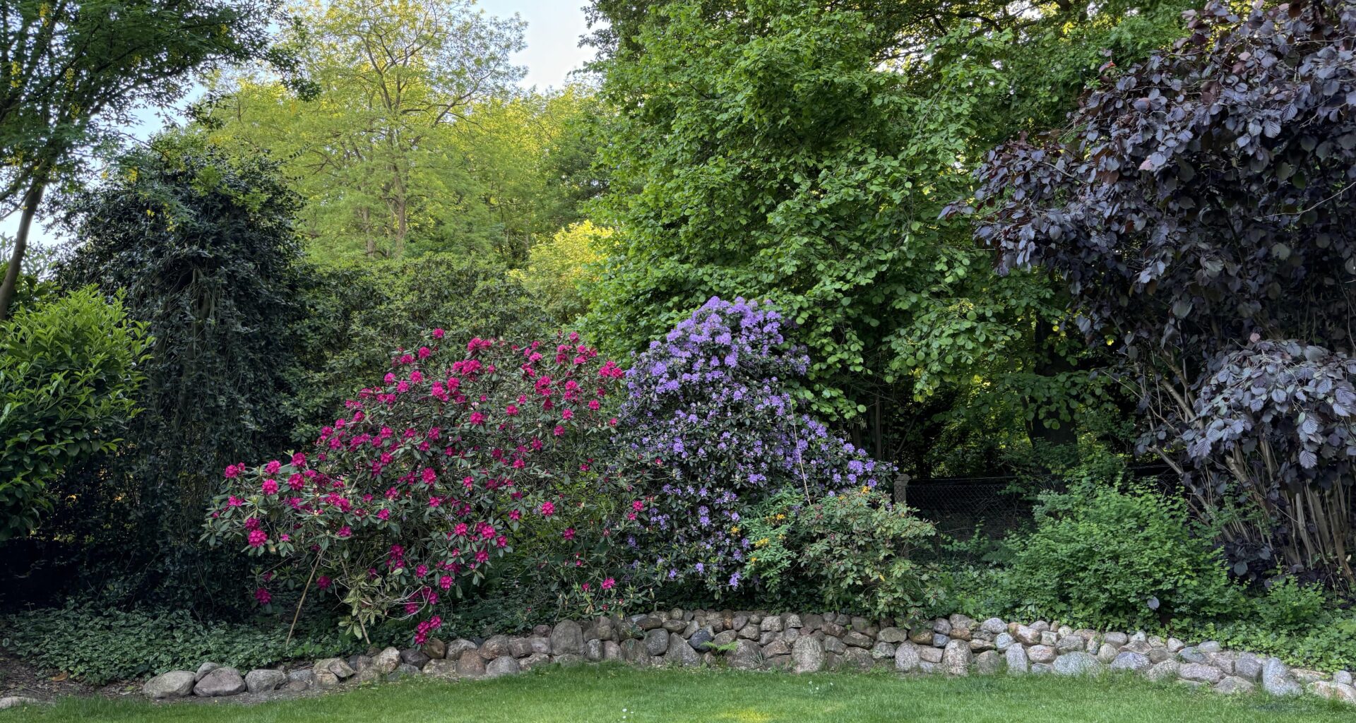 Im kühlen Schatten