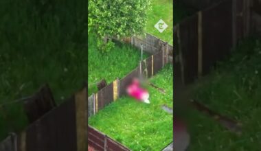 Manchester police capture half-naked suspect as he flees through gardens